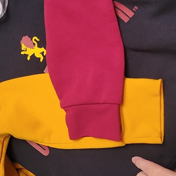 EUC Harry Potter Wizarding World Hoodie - Picture 9 of 9